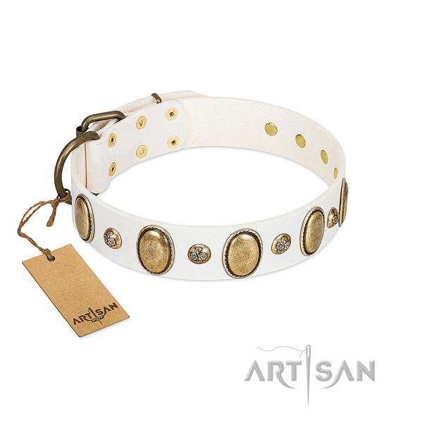 Full grain natural leather dog collar of soft material with remarkable decorations