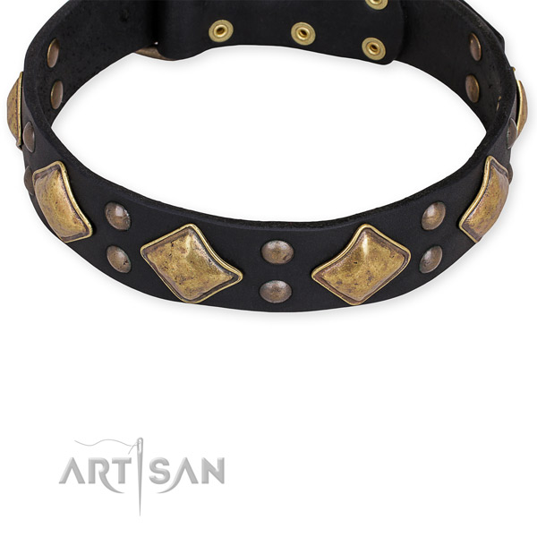Leather dog collar with extraordinary durable adornments