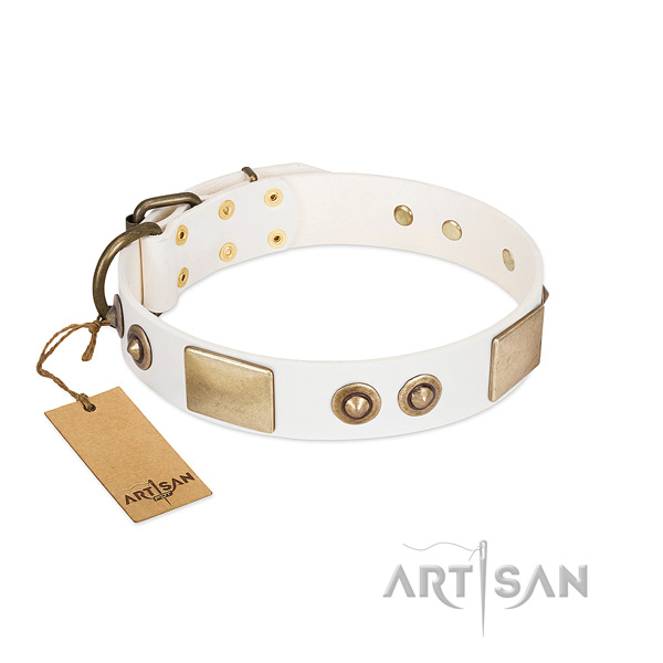 Durable studs on natural genuine leather dog collar for your dog