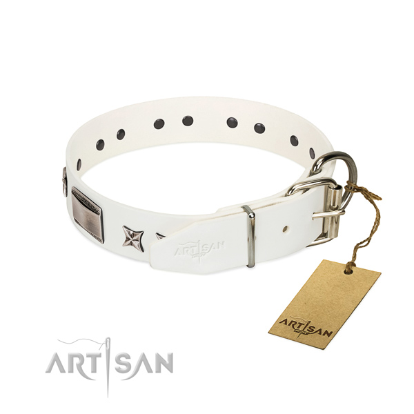 Awesome collar of natural leather for your handsome dog