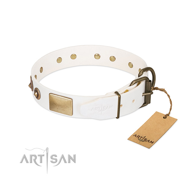 Strong embellishments on leather dog collar for your canine