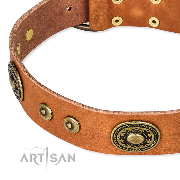 Full grain genuine leather dog collar made of high quality material with embellishments