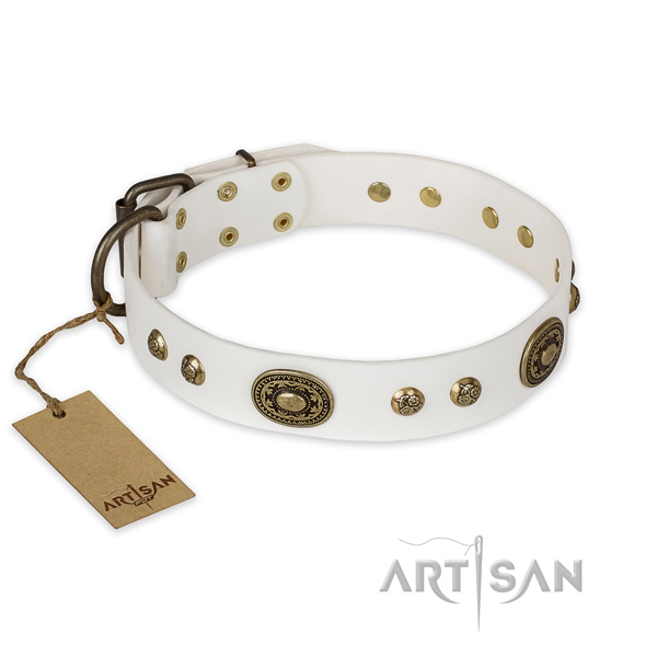Stylish leather dog collar for everyday use