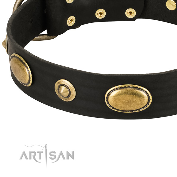 Strong decorations on leather dog collar for your pet