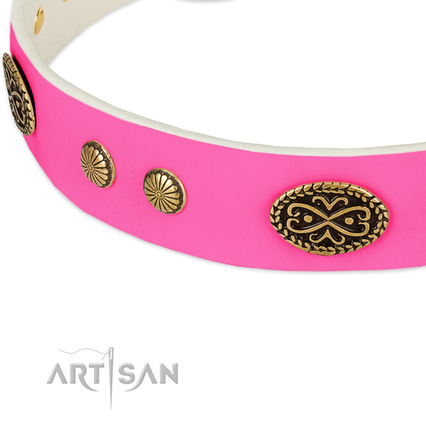 Strong embellishments on genuine leather dog collar for your pet