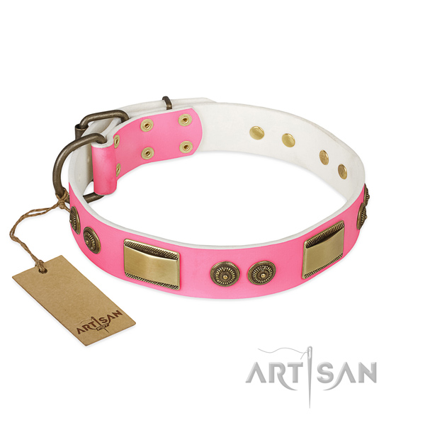 Impressive full grain leather dog collar for daily use