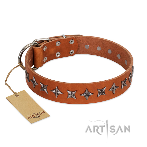 Everyday walking dog collar of fine quality full grain genuine leather with embellishments