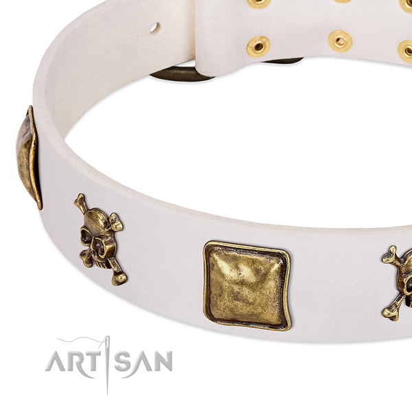 Stunning full grain leather dog collar with rust resistant studs