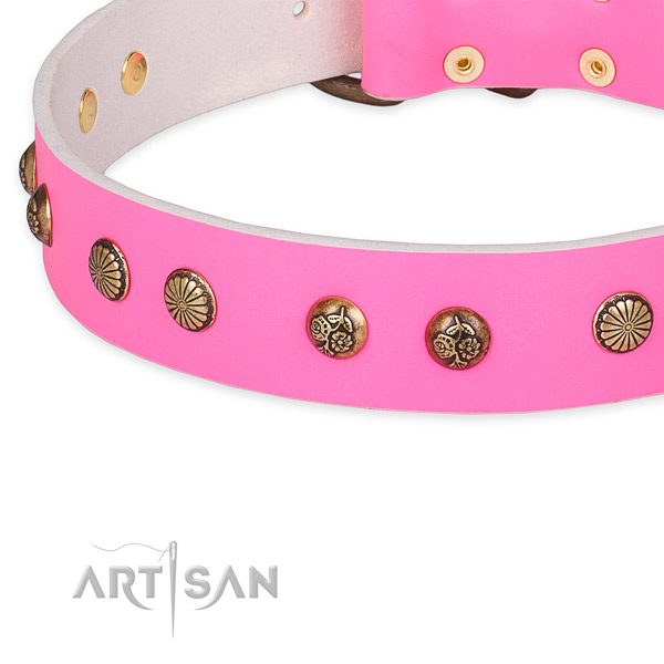 Genuine leather collar with strong traditional buckle for your handsome canine