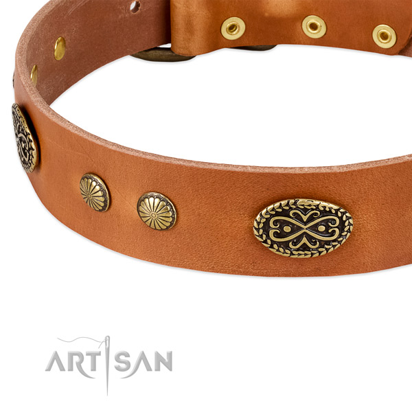Rust resistant adornments on full grain natural leather dog collar for your canine