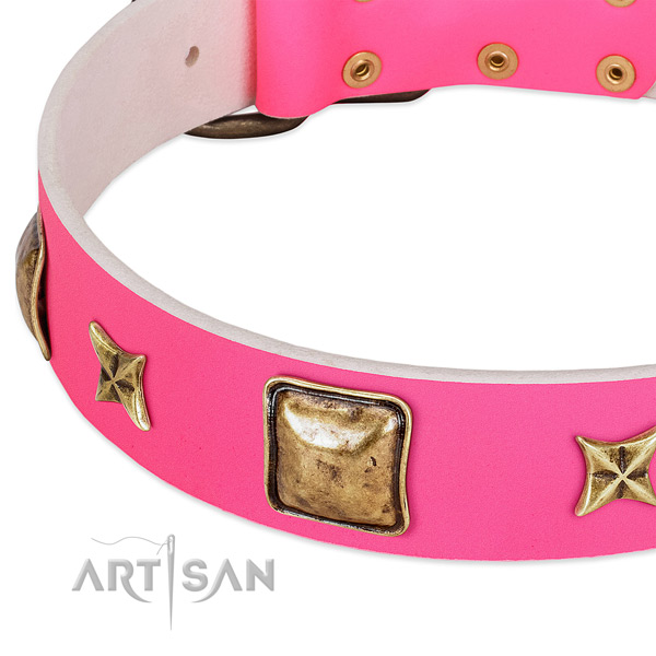 Full grain natural leather dog collar with exceptional studs