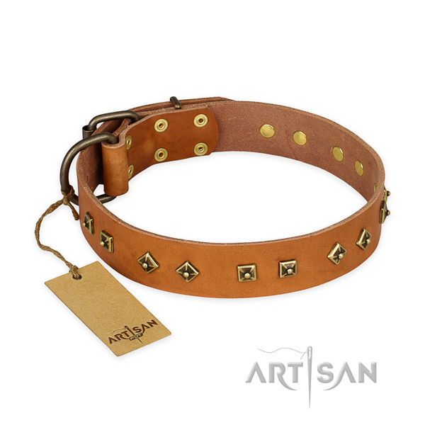 Designer natural leather dog collar with corrosion proof fittings