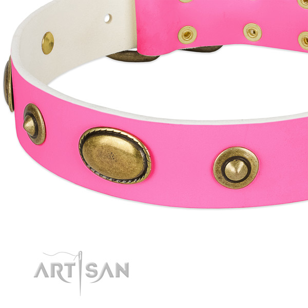 Durable buckle on leather dog collar for your dog