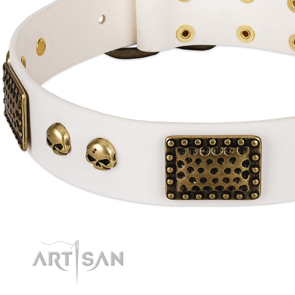 Durable studs on leather dog collar for your four-legged friend