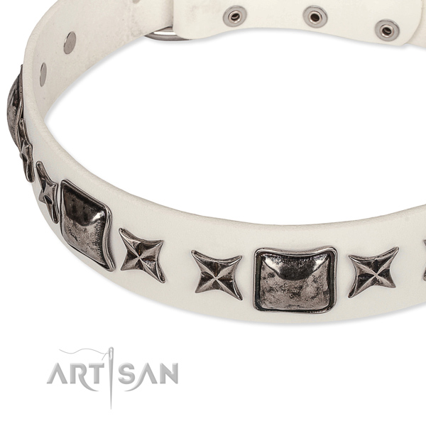 Everyday walking embellished dog collar of best quality full grain genuine leather