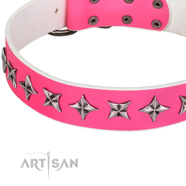 Everyday use adorned dog collar of high quality natural leather