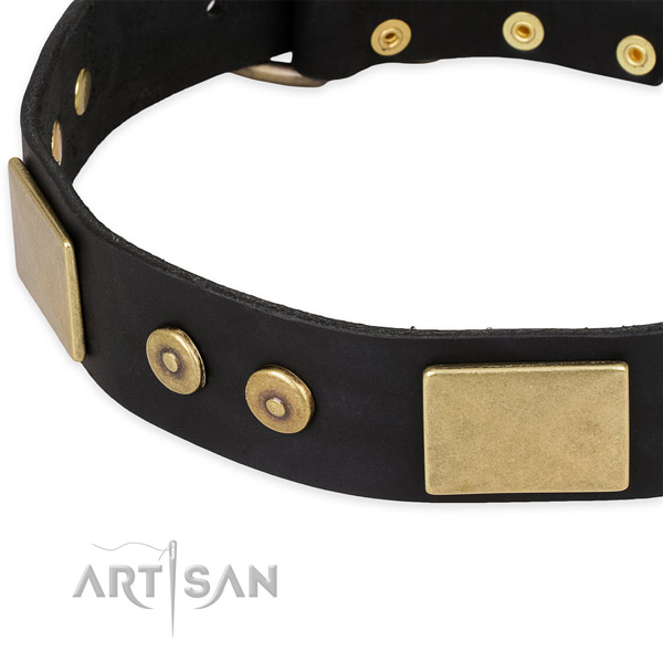 Strong studs on full grain leather dog collar for your pet