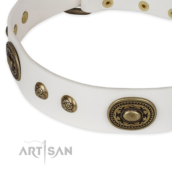 Exquisite leather collar for your lovely pet
