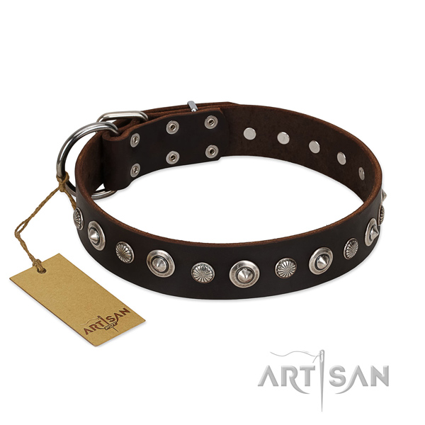 Strong genuine leather dog collar with significant adornments