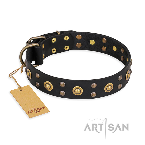 Daily use top notch dog collar with strong buckle