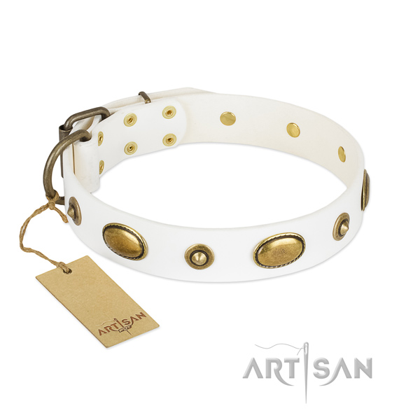 Easy wearing genuine leather collar for your four-legged friend