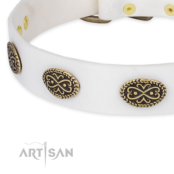 Extraordinary leather collar for your stylish four-legged friend