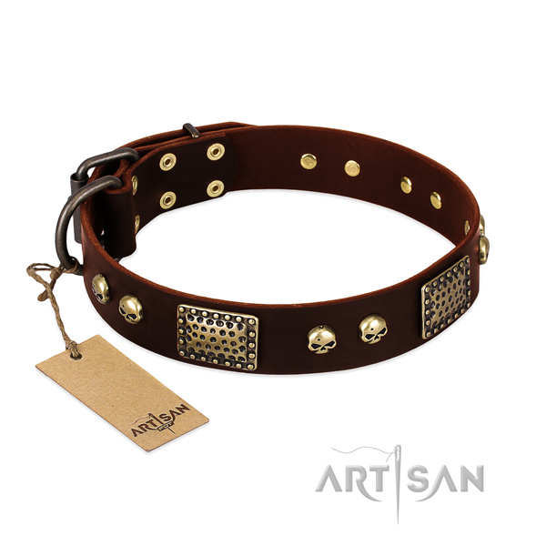 Easy wearing full grain natural leather dog collar for basic training your pet