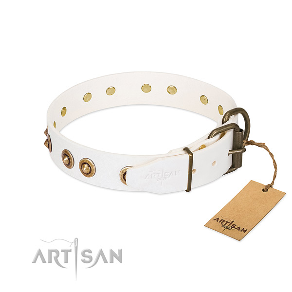 Corrosion resistant studs on full grain natural leather dog collar for your dog