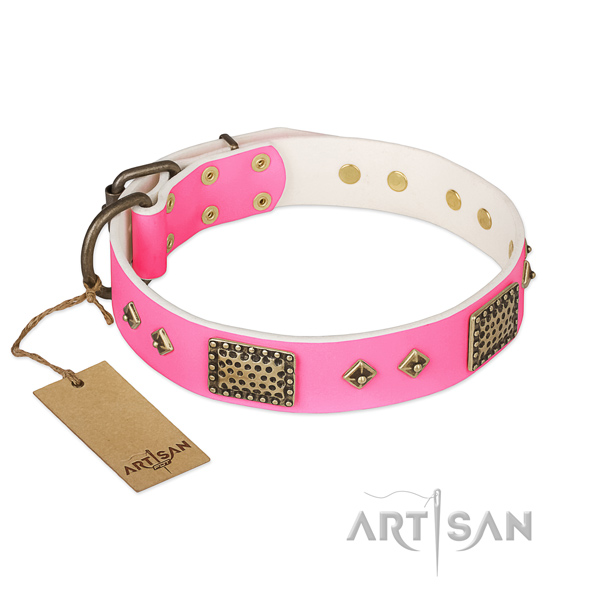 Adjustable full grain leather dog collar for walking your four-legged friend