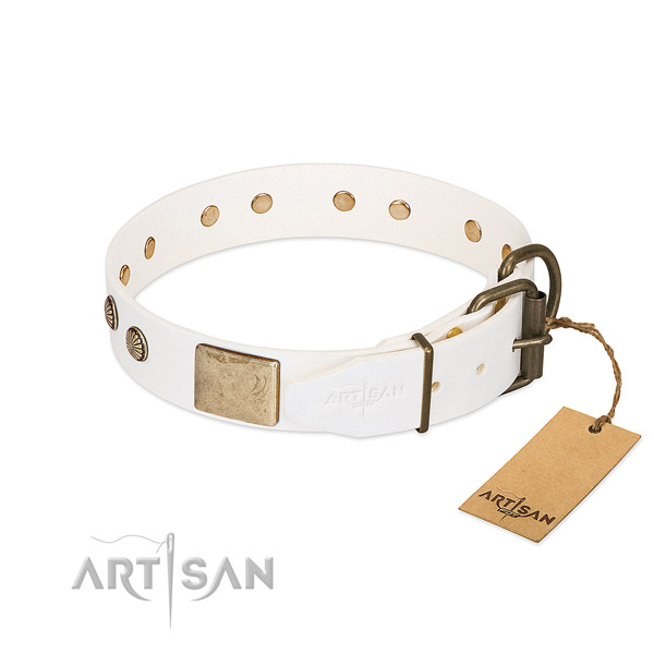 Corrosion proof adornments on stylish walking dog collar