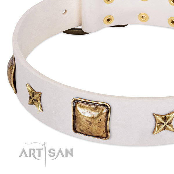 Corrosion proof decorations on full grain leather dog collar for your doggie