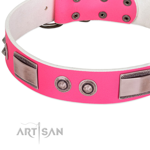 Trendy full grain leather collar with studs for your pet