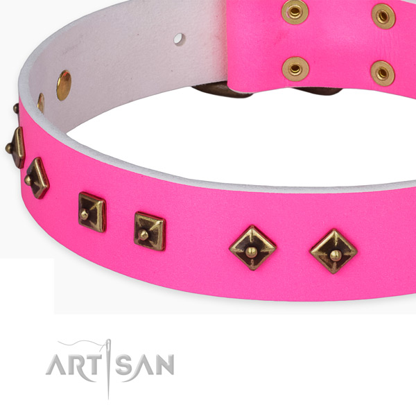 Stunning full grain leather collar for your stylish doggie