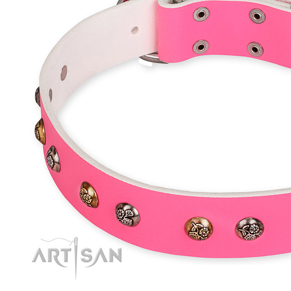 Full grain genuine leather dog collar with remarkable corrosion resistant decorations