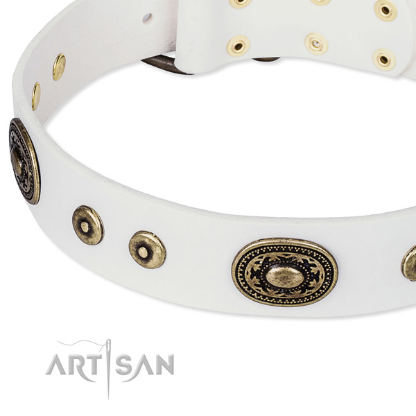 Full grain leather dog collar made of high quality material with adornments