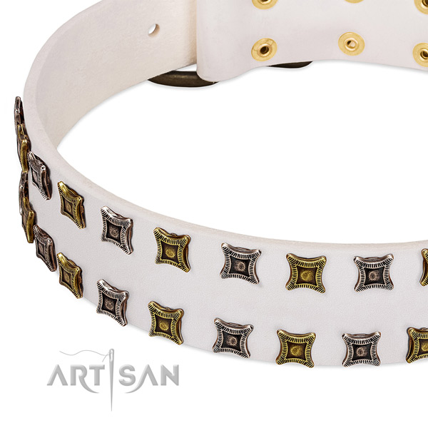 Natural leather dog collar with studs for your beautiful canine