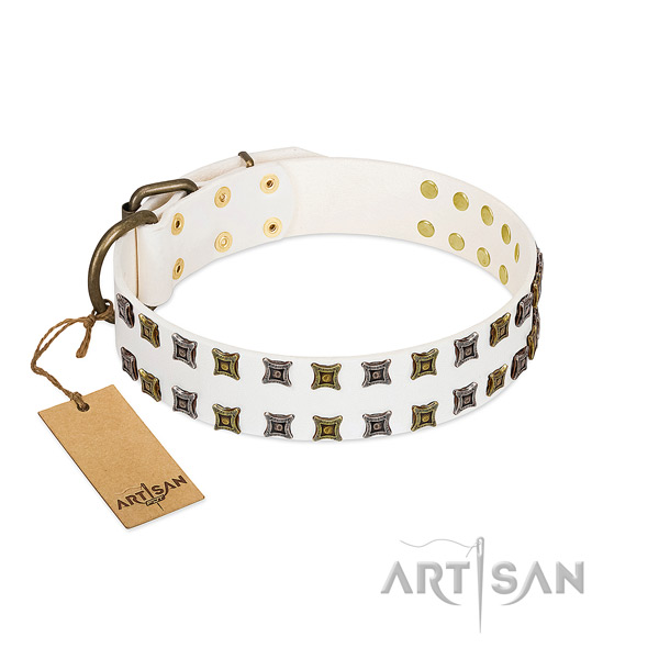 Strong natural leather dog collar with embellishments for your pet