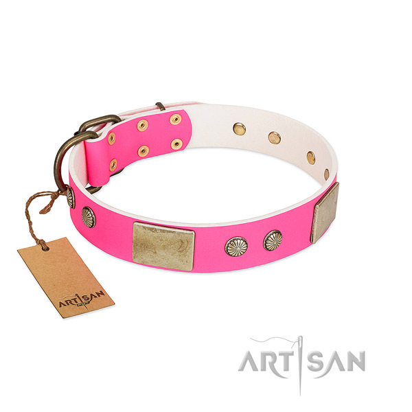 Easy to adjust natural leather dog collar for daily walking your dog