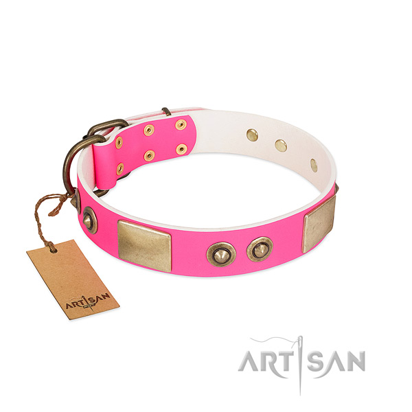Durable studs on leather dog collar for your pet
