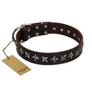 "Stars of Glory" FDT Artisan Brown Leather Dogue de Bordeaux Collar for Comfortable Walking