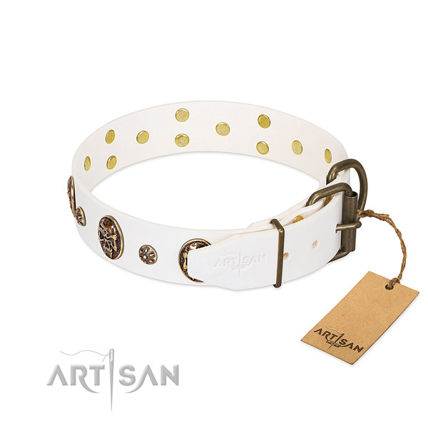 Reliable embellishments on full grain leather dog collar for your canine