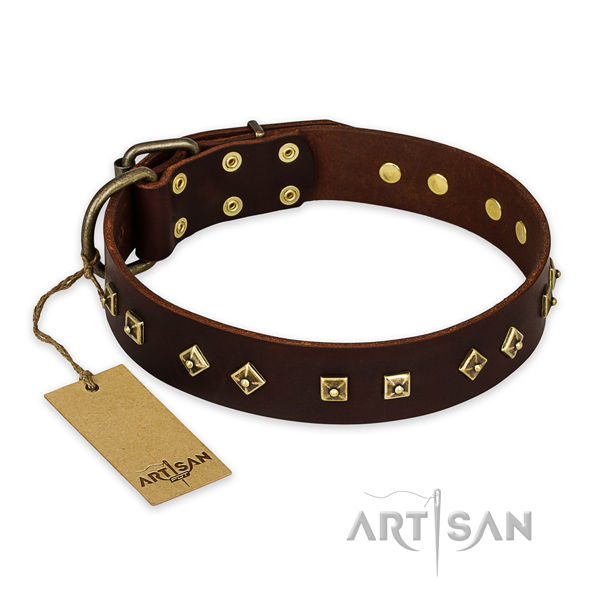Decorated full grain genuine leather dog collar with corrosion proof hardware
