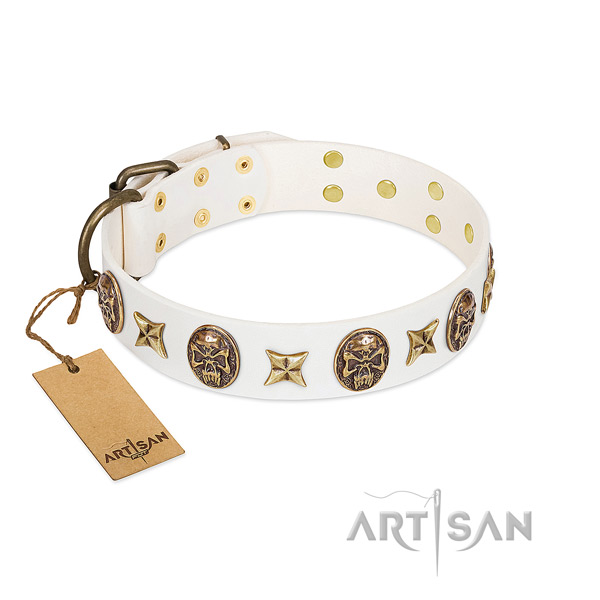 Awesome natural genuine leather dog collar for basic training