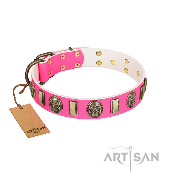 Rust-proof decorations on natural genuine leather dog collar for your doggie