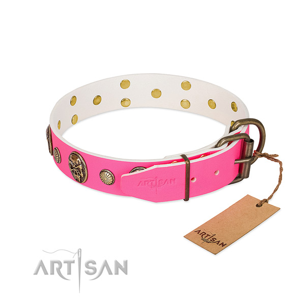 Rust-proof decorations on genuine leather dog collar for your pet