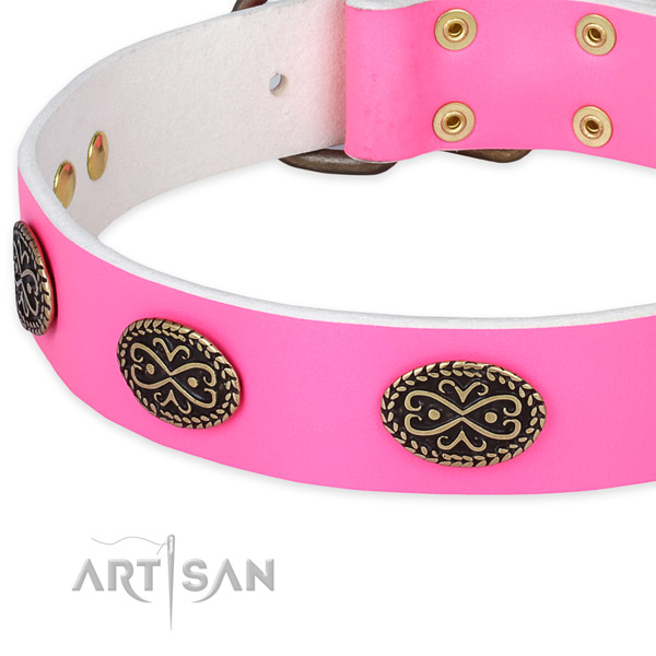 Genuine leather dog collar with adornments for walking