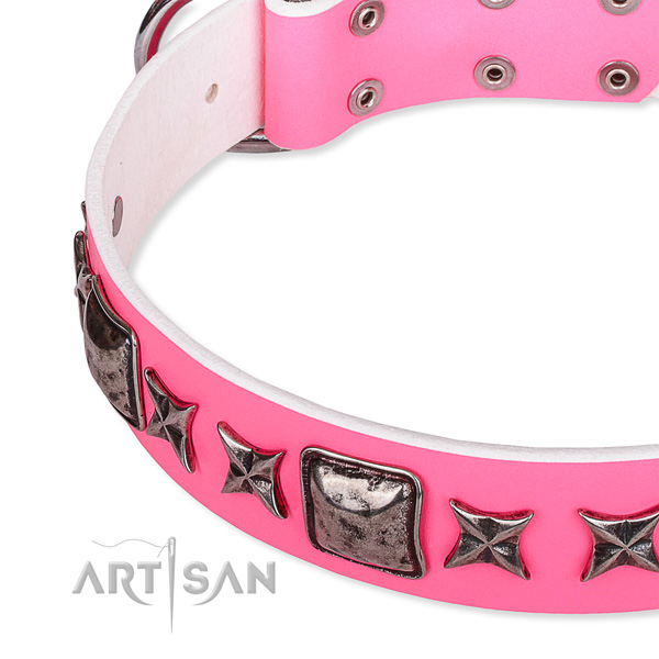 Everyday use decorated dog collar of durable full grain natural leather