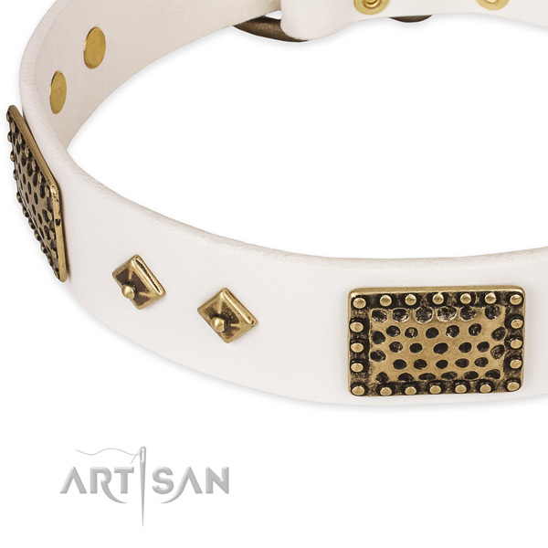 Rust-proof buckle on leather dog collar for your pet