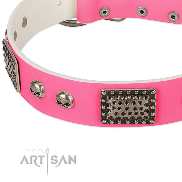 Corrosion proof studs on natural leather dog collar for your pet