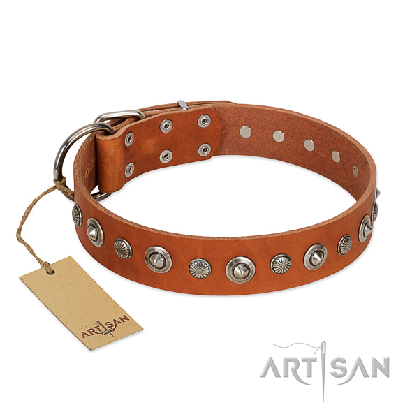 Top quality leather dog collar with stunning embellishments